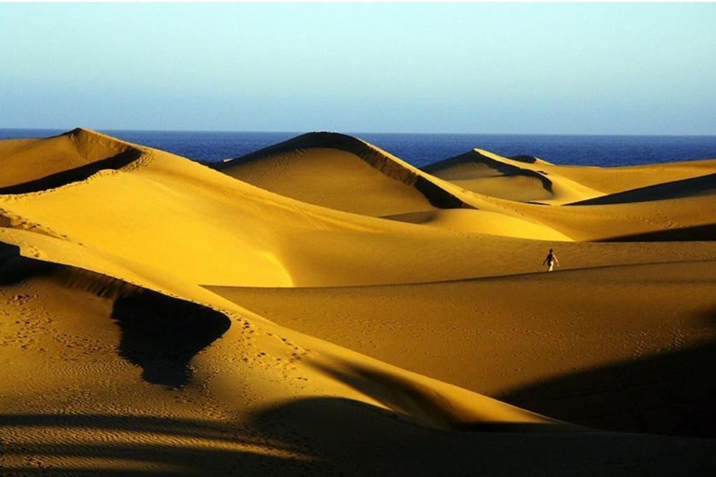 Turquesa 4Th Lägenhet Playa del Inglés Exteriör bild